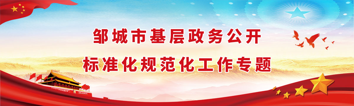 邹城市基层政务公开标准化规范化工作专题