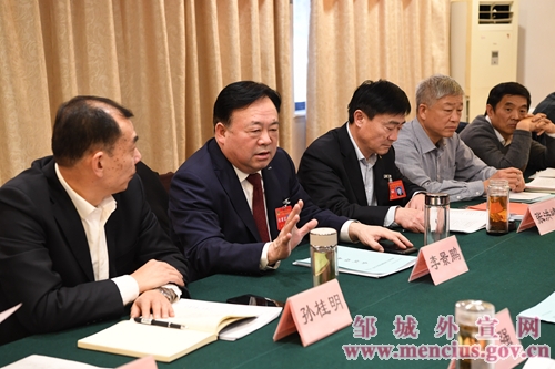 李景鹏参加市政协十届三次会议政府综合系统小组讨论图文