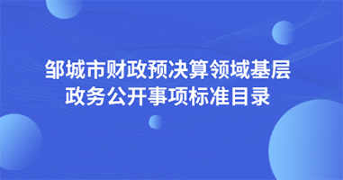 邹城市财政预决算领域基层政务公开事项标准目录