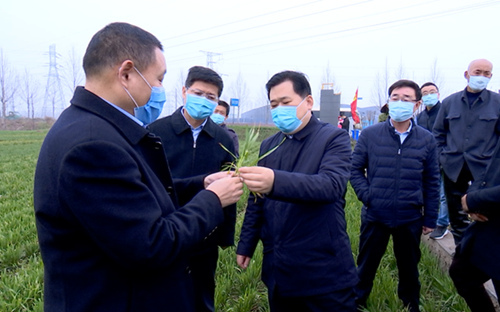张百顺调研春季农业生产时强调不失时机做好春季农业生产工作为丰产